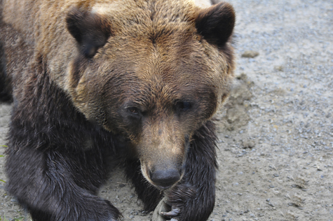 Melanie Heinrich Images